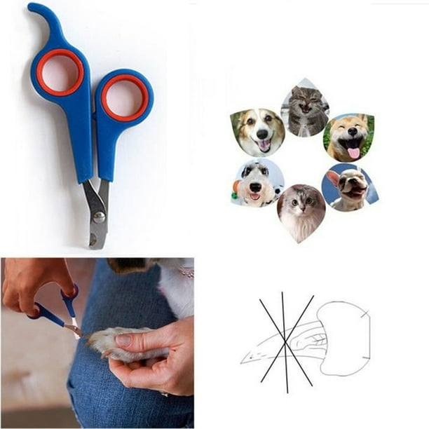Rabbit nail clippers walmart discount