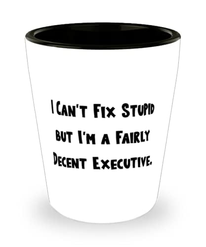 I Can't Fix Stupid But I'm A Fairly Decent. Underwriter Gifts For Coworkers Ceramic Cup From Friends Reusable Underwriter Shot Glass