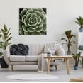 thumbnail image 2 of Stupell Industries Rounded Succulent Leaves Botanical Botanical & Floral Painting Gallery Wrapped Canvas Print Wall Art, 2 of 7
