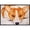 Black, variant on Fiona Corgi Door Mat