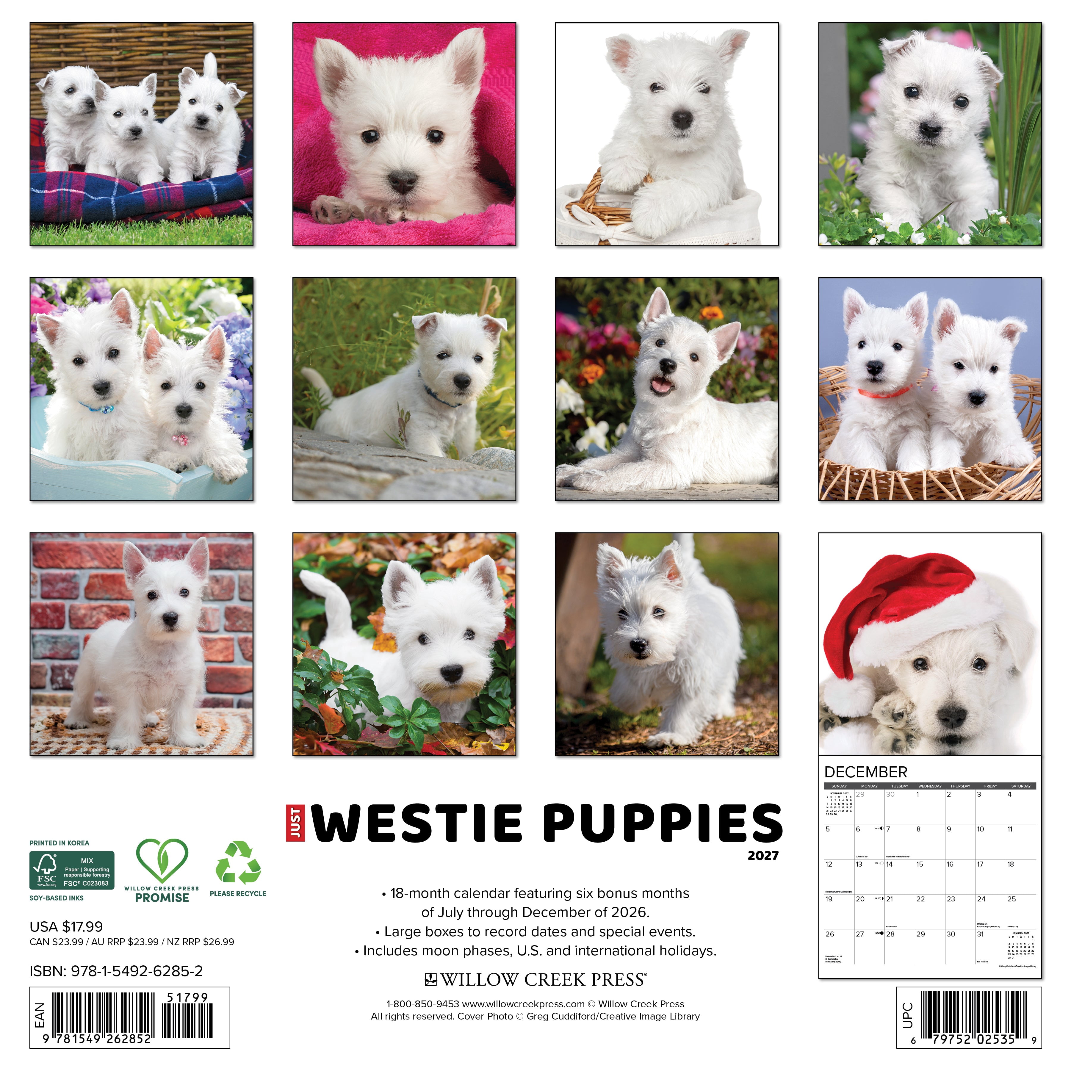 Willow Creek Press, Westie Puppies 2027 Wall Calendar