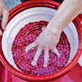thumbnail image 4 of 10.2inchSand and Stone Filters Auto Supplies Car Wash Tools, Car Wash Bucket Insert, Red, 4 of 5