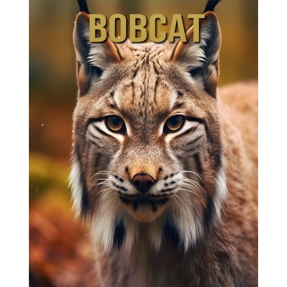 Bobcat: Amazing Picture and Facts About Bobcat for Children's, (Paperback)