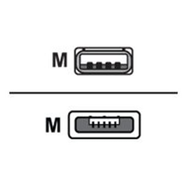 Griffin - Câble USB - Micro-USB Type A (M) à USB (M)