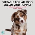 thumbnail image 3 of 16 fl oz Dog Moisturizing Conditioner - Perfect Detangler for Deshedding & Itchy Dogs - Coconut & Oatmeal Infused Dog Conditioner for Problematic Coats, 3 of 4