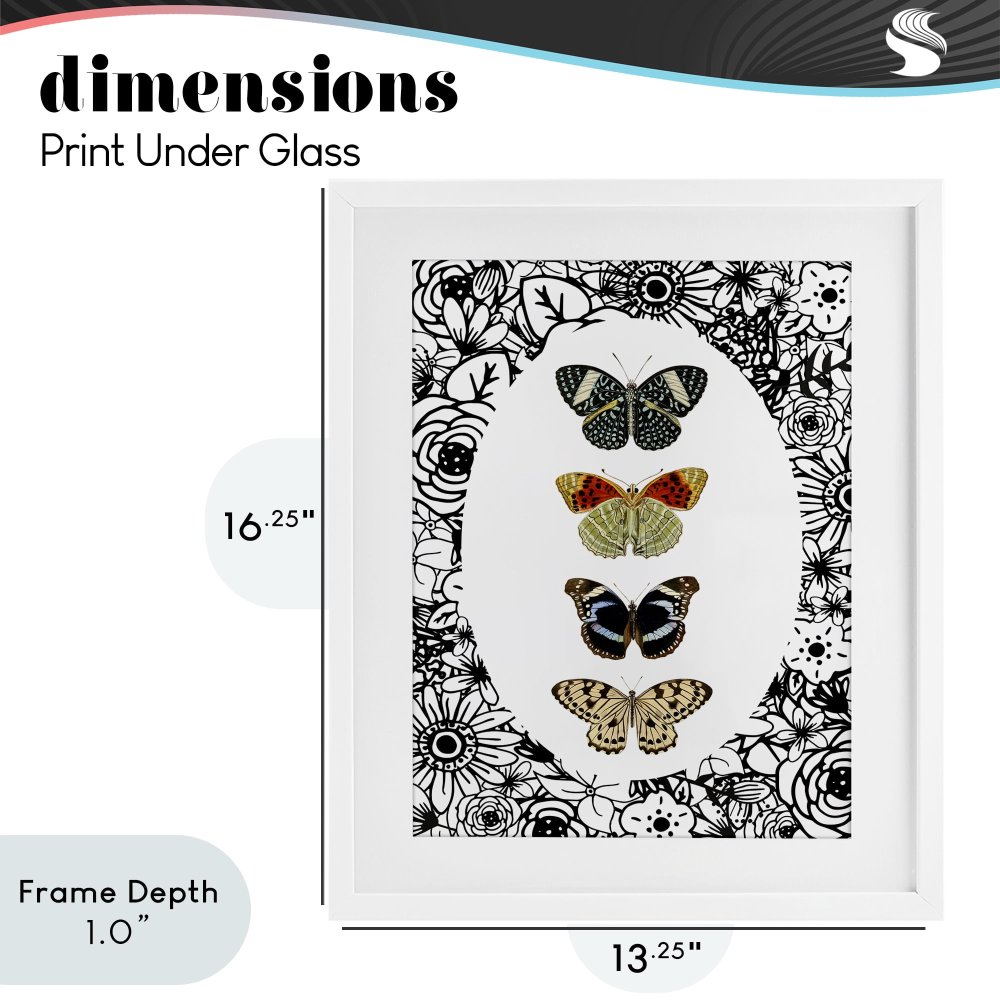 Stupell Industries Floral Butterfly Lineup White Framed Print Under Glass, design by Dan Meneely