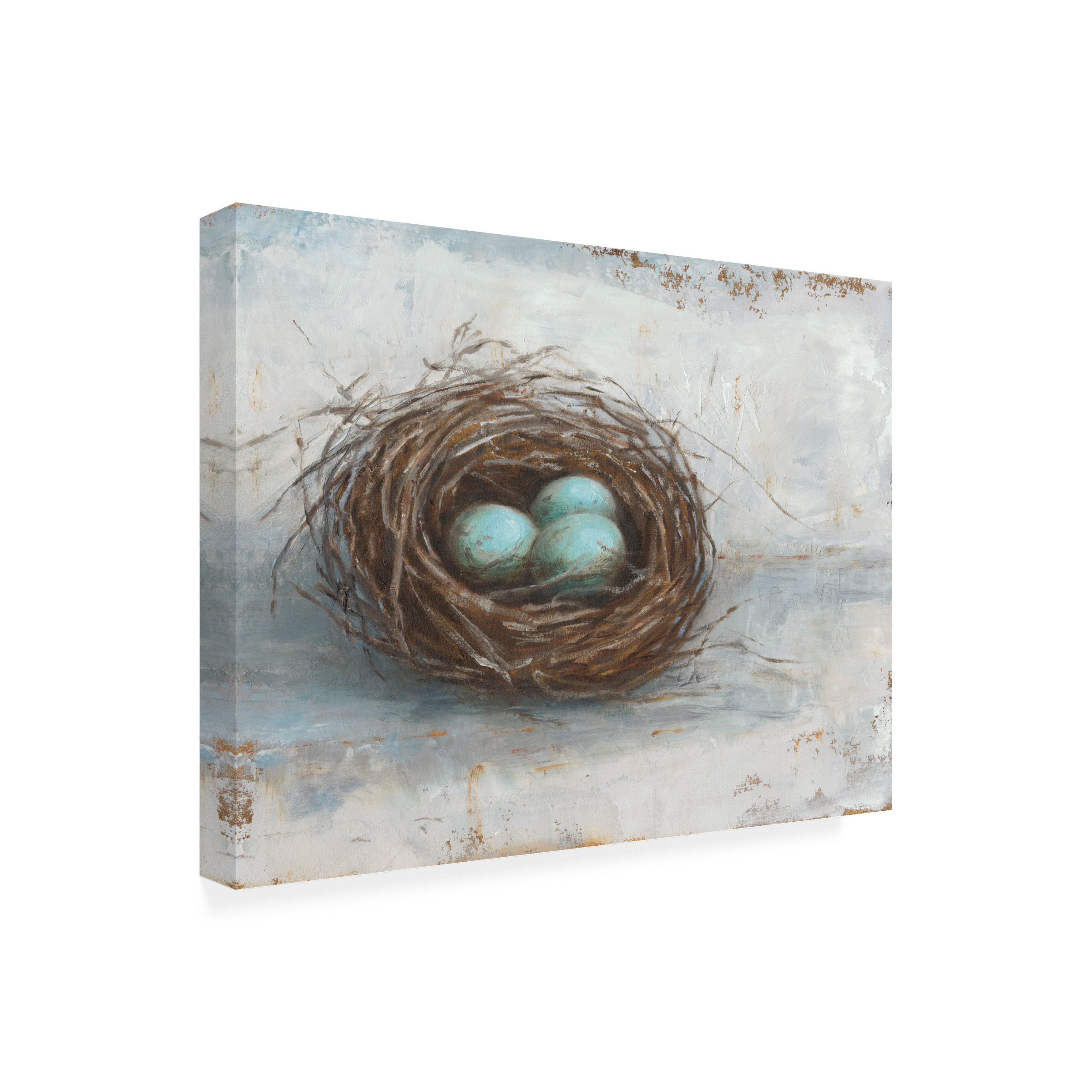Trademark Fine Art Ethan Harper Rustic Bird Nest I Canvas Wall Art - 14x19