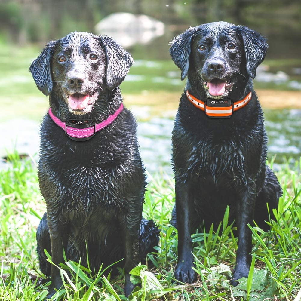 Paipaitek Shock Collar Replacement Strap, Reflective Adjustable Dog Replacement Collars Fits Most of Pet Fence and Bark Collars Receivers - Durable & Adjustable -2 Pack