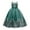 Green, variant on Huanglei Flower Girl Lace Dress For Kids Wedding Bridesmaid Pageant Party Formal Long Maxi Gown Big First Birthday Dance Prom Sequin Bowknot Puffy Tulle Dresses
