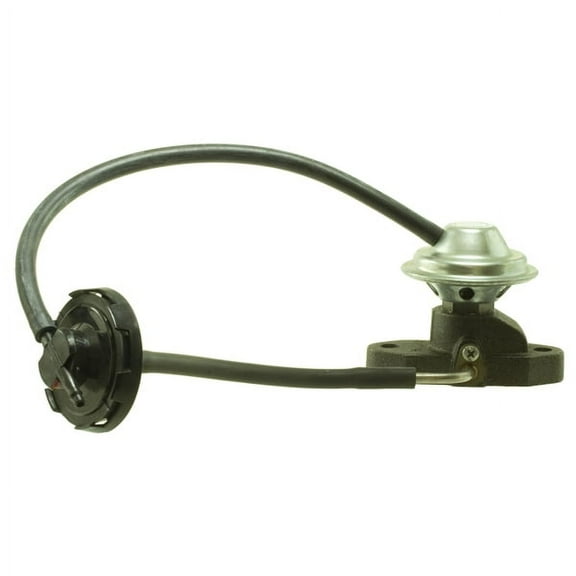 Exhaust Gas Recirculation (EGR) Valve
