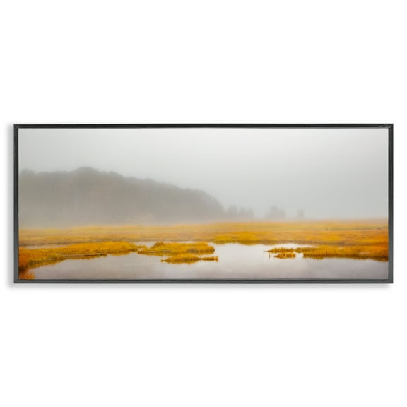 Stupell Industries Flooded Marshland Landscape Landscape Photography Black Framed Art Print Wall Art, 24 x 10
