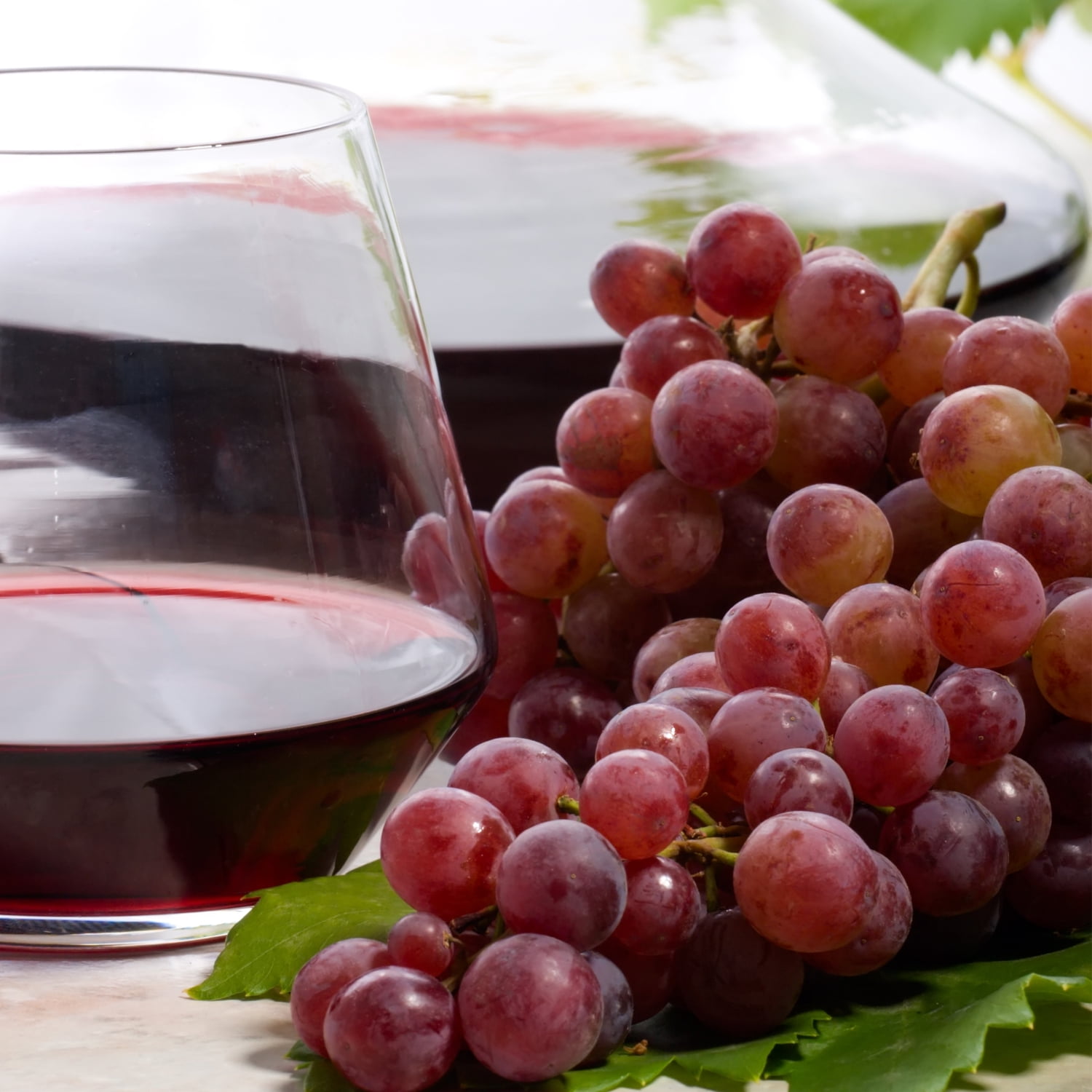Van Zyverden Grapes Einset Seedless Set of 1 Plant White Full Sun Fruiting 2 lbs
