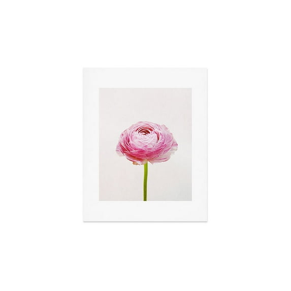 Society6 Ranunculus Flower by Cassia Beck Art Print and Hanger