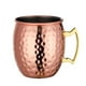 thumbnail image 2 of Xihbxyly Copa Moscow Mule, Elegante Diseño de Acero Inoxidable, Acabado Chapado En Cobre, Construcción Irrompible, Perfecta para Cócteles, Reuniones En Bares En Casa, Un Gran Regalo para Cualquier Oc, 2 of 3