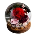thumbnail image 1 of Regalo de flores para siempre,Flores de rosas preservadas en una caja de vidrio,Regalos de flores de rosas eternas de rosas inmortales, 1 of 5