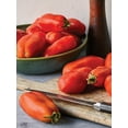 thumbnail image 2 of Burpee San Marzano Annual Tomato Seed, 1-Pack, Full Sun, 2 of 5