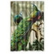 thumbnail image 1 of Cortina de ducha ABPHQTO Elegance Pintura Pavos Reales Impermeable 120x180 cm, 1 of 2
