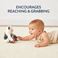 thumbnail image 2 of Espejo sensorial Tummy Time Itzy Cow con sonidos y texturas, 2 of 5