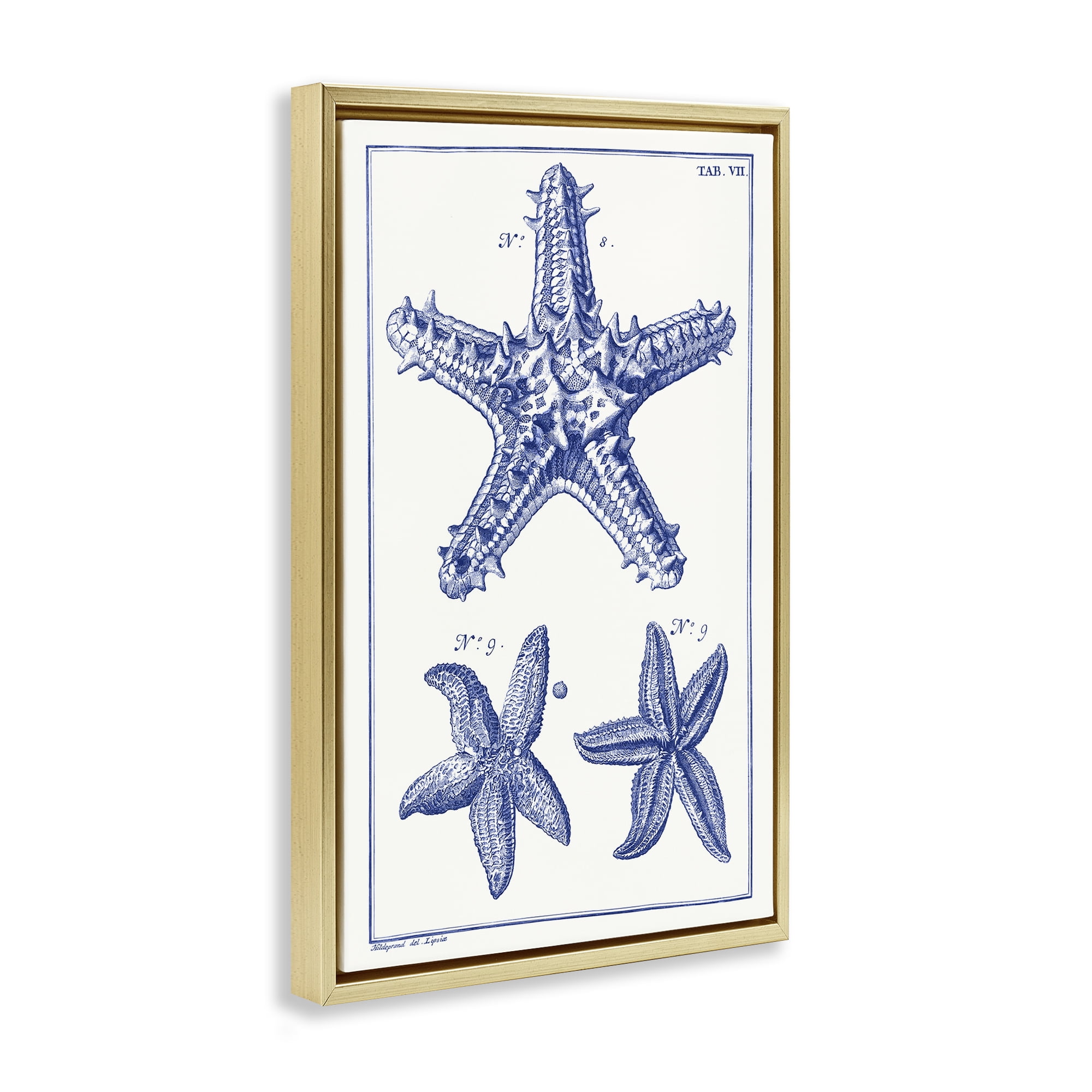 Stupell Industries Blue Starfish Diagrams Animals & Insects Painting Gold Floater Framed Canvas Art Print Wall Art, 17 x 25