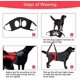 thumbnail image 3 of CHAO Arnés de chaleco para perros, arnés de soporte para perros, ayuda para caminar, chaleco de tracción de elevación, chaleco de tracción para perros para ancianos y cachorros heridos (Pa, 3 of 5