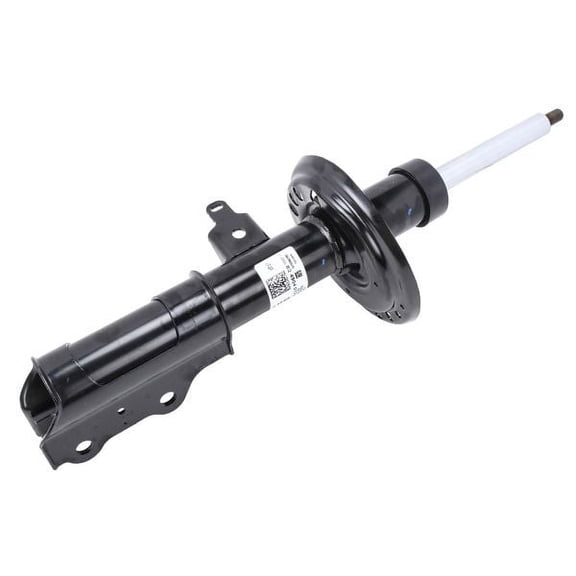 Front Driver Side Suspension Strut