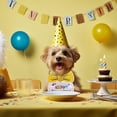 thumbnail image 3 of Bearachild Suministros de fiesta de cumpleaños para perros y gatos, larga vida útil, regalos únicos para mascotas, celebración, cumpleaños de Kits de decoración para fiestas Amarillo 6 pulgadas, 3 of 6