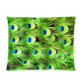 thumbnail image 1 of RYLABLUE Peacock Feathers Design Picture Pillow Cases 20x30 inches Two Sides Print, 1 of 1