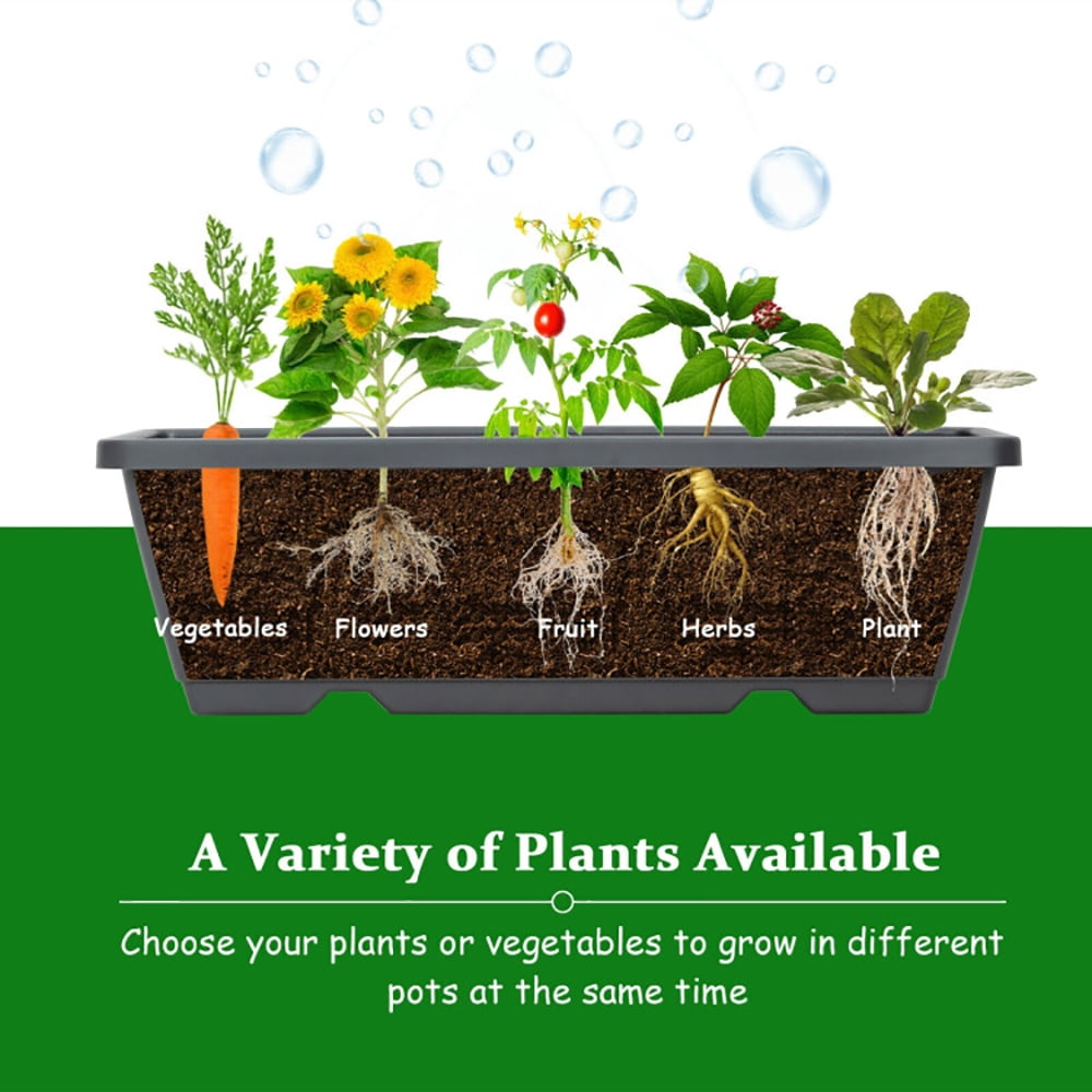 Barara King Vegetables Flowers Fruits Herb Garden Box,5-Tier Raised Garden Bed with Water Drainage for Flowers Vegetables