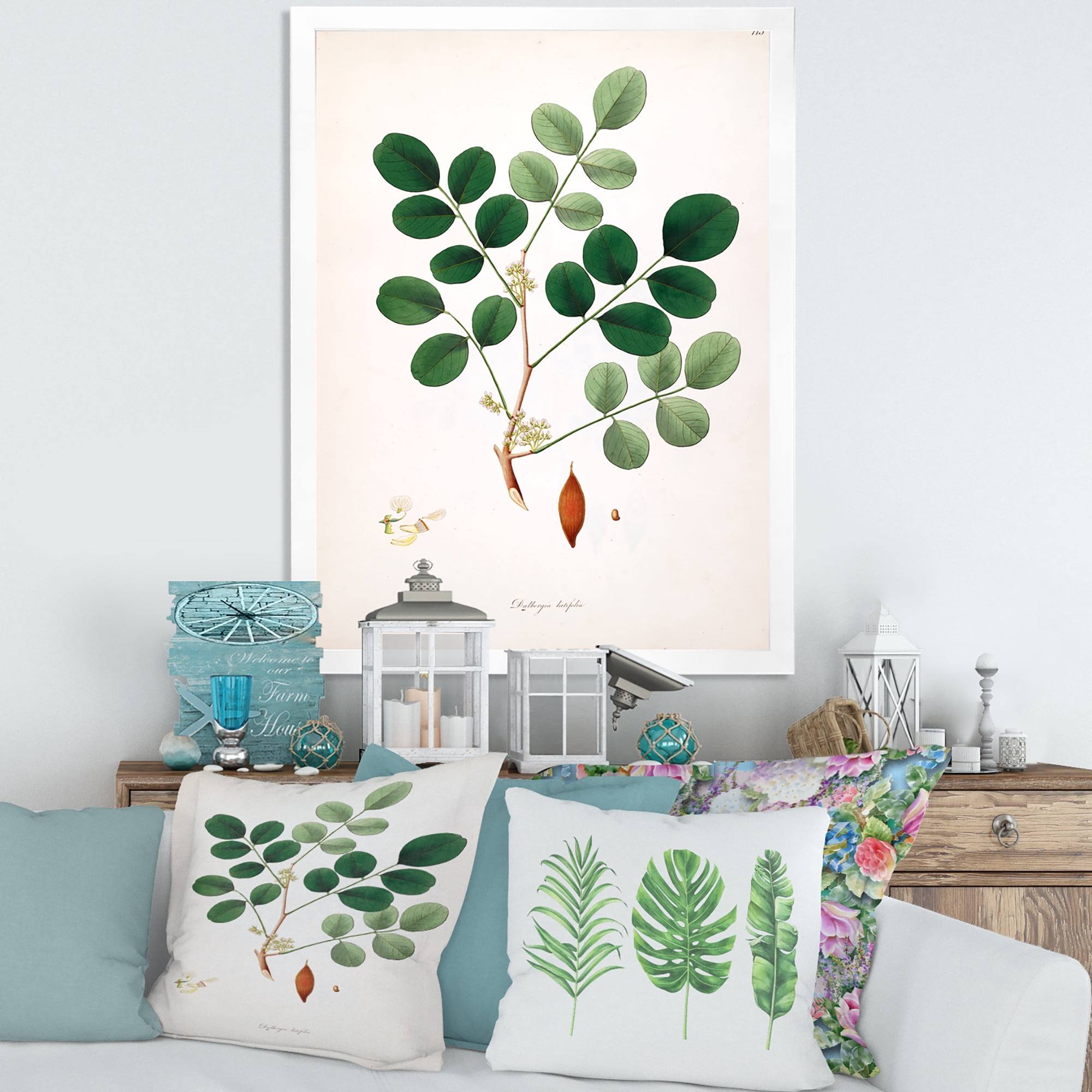 Designart 'Ancient Plant Life XI' Farmhouse Framed Art Print