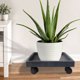 thumbnail image 4 of unbranded Plataforma Para Plantas Con Soporte Resistente Ideal Para Interior, 4 of 8