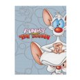thumbnail image 1 of Manta de felpa suave y cómoda de Pinky y Cerebro, ligera y cálida, de franela, para sofá cama, 40 x 30 pulgadas, 1 of 8