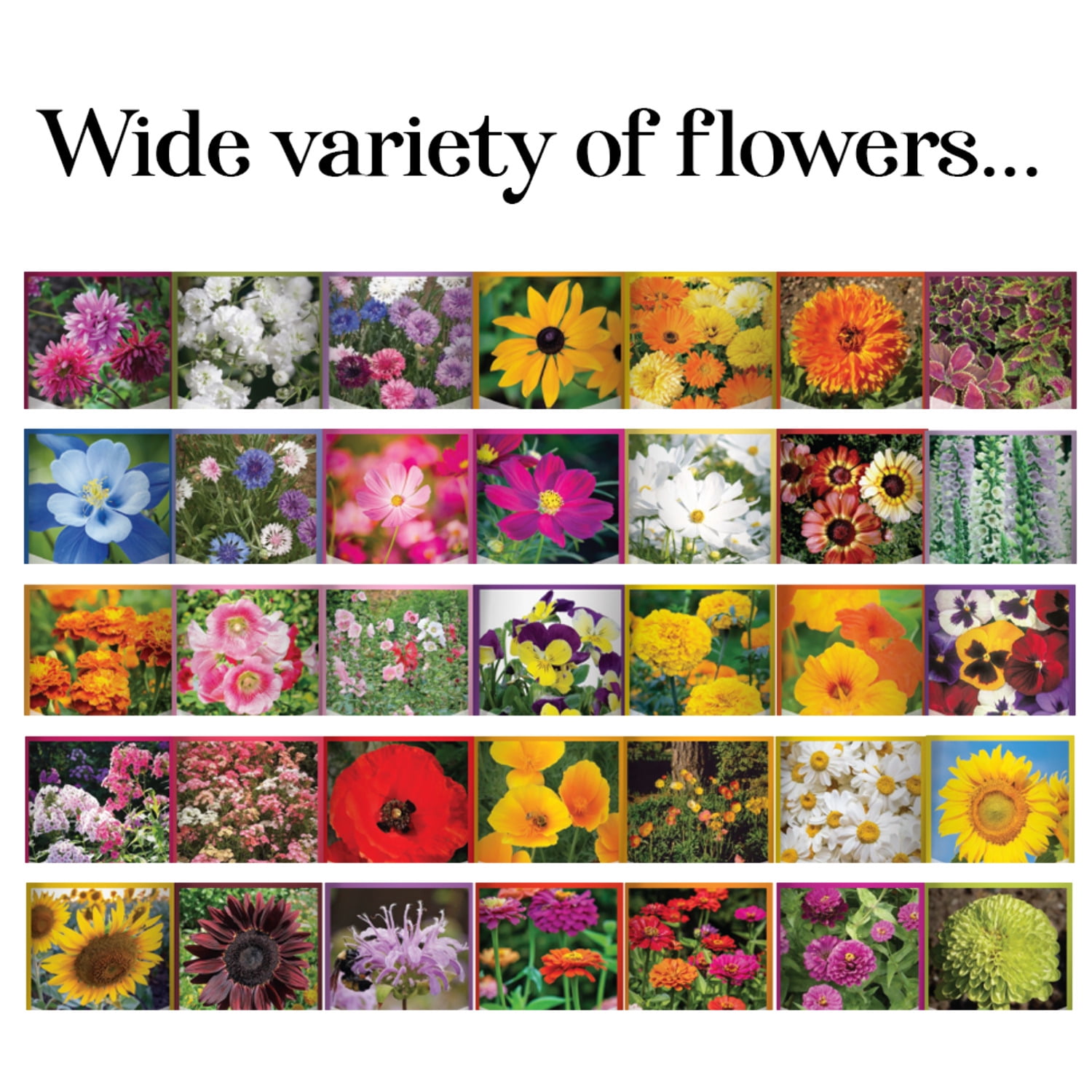 Wildflower, Perennial,  Annual Flower Seed Kit | 35 Variety Pack
