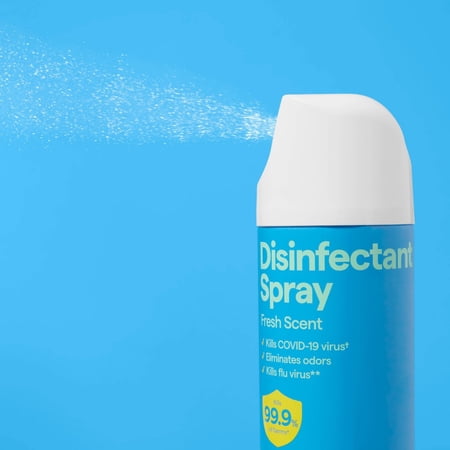Fresh Scent Disinfectant Spray - 19oz