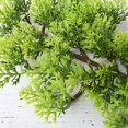 thumbnail image 2 of Mini Artificial Fake Bonsai Pine Trees Simulation Plants Leaves Home Art Decors, 2 of 8