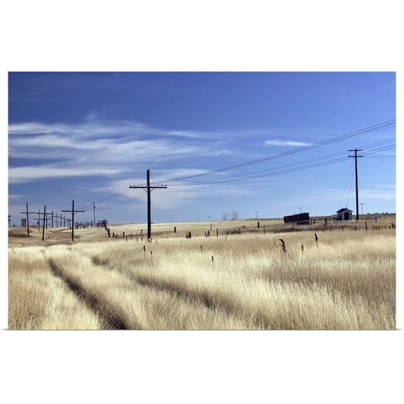 Great BIG Canvas | Rolled Walter Bibikow Poster Print entitled Canada, Saskatchewan, Morse, Prairie Road