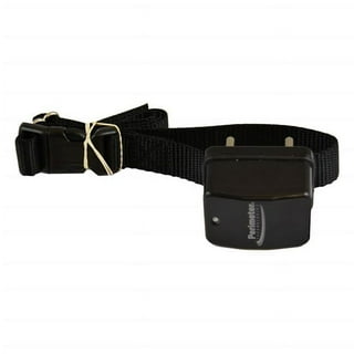 Perimeter Technologies Invisible Fence R21 Replacement Collar 10K - 1 Dog  and Free Backup Collar Strap