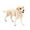 B, variante sur Jouets Figurines Décoration Maison Préscolaire Éducatif Arcti Animaux d'Hiver Cadeau