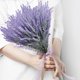thumbnail image 4 of Nvzi 4 paquetes de flores falsas de lavanda artificial de plástico de imitación de flores moradas para decoración del hogar, color morado, 4 of 4