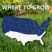 JONATHAN GREEN TURF 10322 2800 sq. ft. Natural Black Beauty Ultra Grass Seed, 7 lb