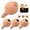 4PCS Brown, variant on FUYGRCJ 8PCS Self Watering Spikes Clay, Self Watering Planter Insert Indoor Automatic Plant Irrigation Devices, for Indoor Outdoor Plant