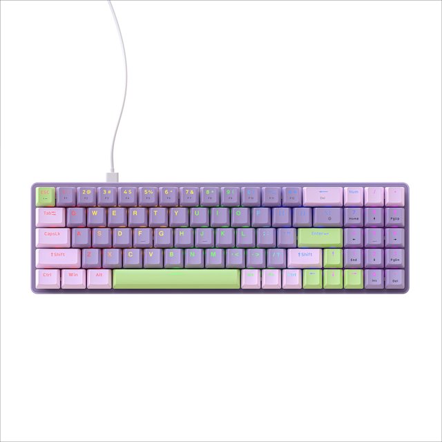 Teclado mecánico de competición eléctrica con cable, teclado de juego con conexión en caliente, teclado transparente de dos colores