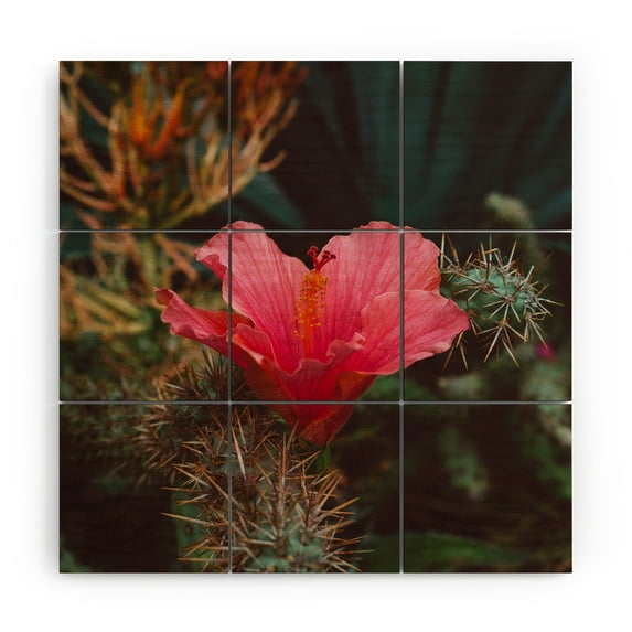 Society6 California Bloom III by Bethany Young Photography Wood Wall Mural