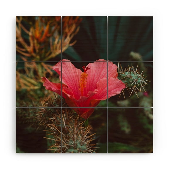 Society6 Bethany Young Photography California Bloom III Wood Wall Mural 3' x 3'