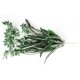 thumbnail image 3 of Gwong Decoración hogareña 1 UNID CLOROFYTUM COMOSUM FAUX GREERY HOME HOGAR Decoración de la araña artificial Planta Gwong 91537, 3 of 5