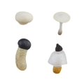 thumbnail image 4 of Juguete de simulación del ciclo de crecimiento de los hongos CUTICAT, 4 of 8