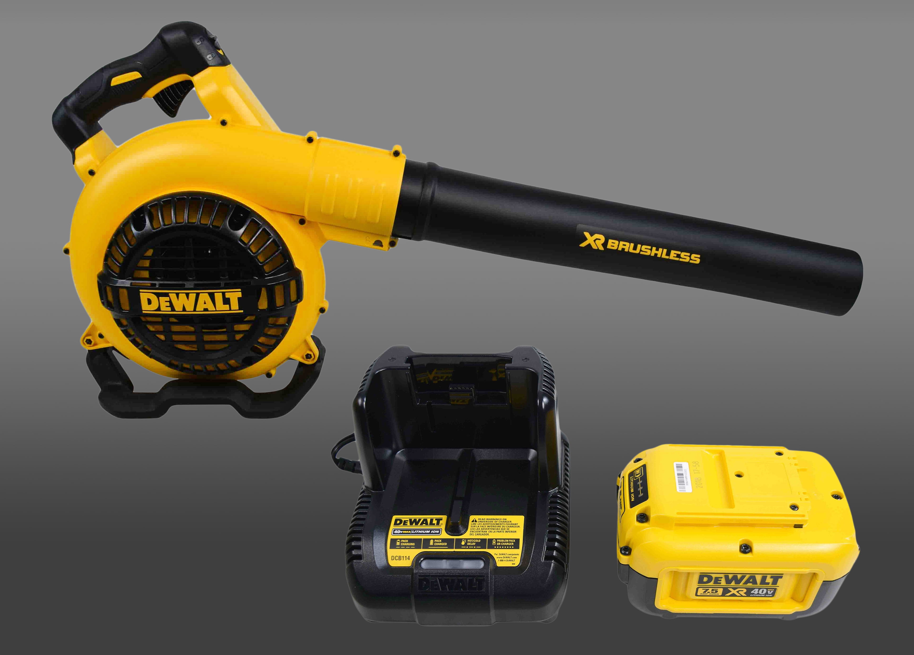 Dewalt Leaf Blower Battery Life sites.unimi.it
