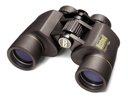 bushnell binoculars 10x50