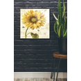 thumbnail image 2 of Epic Art 'Under The Sun I' by Lisa Audit, Acrylic Glass Wall Art, 24"x24", 2 of 3