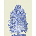 thumbnail image 2 of Fab Funky 15x18 White Modern Wood Framed Museum Art Print Titled - Blue Corals d, 2 of 4