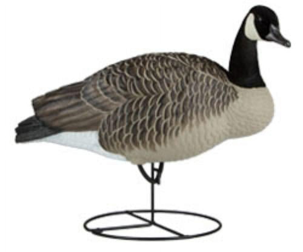 Avian-X AXP Full-Body Painted Canada Goose Decoys, Walkers
